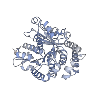 40220_8glv_1V_v1-2
96-nm repeat unit of doublet microtubules from Chlamydomonas reinhardtii flagella