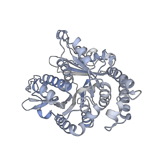 40220_8glv_1W_v1-2
96-nm repeat unit of doublet microtubules from Chlamydomonas reinhardtii flagella