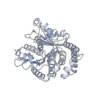 40220_8glv_1X_v1-2
96-nm repeat unit of doublet microtubules from Chlamydomonas reinhardtii flagella