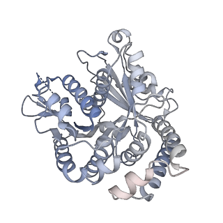 40220_8glv_1Z_v1-2
96-nm repeat unit of doublet microtubules from Chlamydomonas reinhardtii flagella
