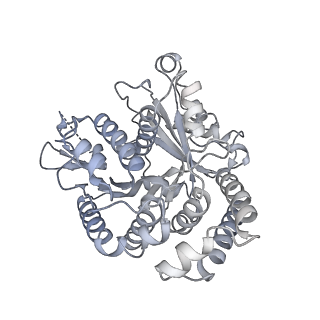 40220_8glv_2B_v1-2
96-nm repeat unit of doublet microtubules from Chlamydomonas reinhardtii flagella
