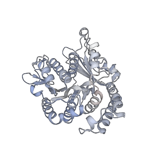 40220_8glv_2C_v1-2
96-nm repeat unit of doublet microtubules from Chlamydomonas reinhardtii flagella