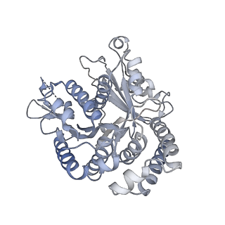 40220_8glv_2D_v1-2
96-nm repeat unit of doublet microtubules from Chlamydomonas reinhardtii flagella
