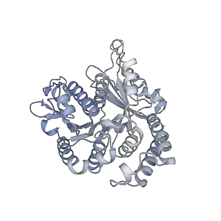 40220_8glv_2E_v1-2
96-nm repeat unit of doublet microtubules from Chlamydomonas reinhardtii flagella