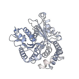 40220_8glv_2F_v1-2
96-nm repeat unit of doublet microtubules from Chlamydomonas reinhardtii flagella