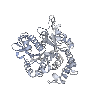 40220_8glv_2G_v1-2
96-nm repeat unit of doublet microtubules from Chlamydomonas reinhardtii flagella