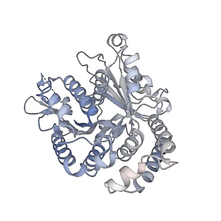 40220_8glv_2H_v1-2
96-nm repeat unit of doublet microtubules from Chlamydomonas reinhardtii flagella