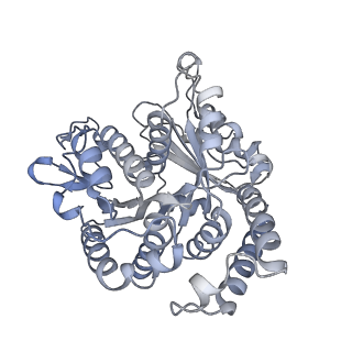 40220_8glv_2I_v1-2
96-nm repeat unit of doublet microtubules from Chlamydomonas reinhardtii flagella