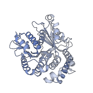 40220_8glv_2J_v1-2
96-nm repeat unit of doublet microtubules from Chlamydomonas reinhardtii flagella