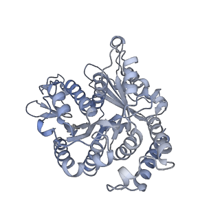 40220_8glv_2K_v1-2
96-nm repeat unit of doublet microtubules from Chlamydomonas reinhardtii flagella