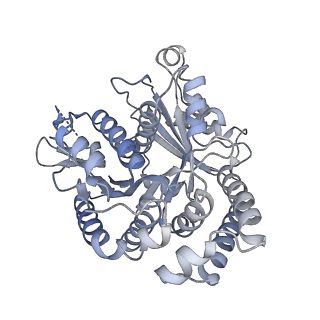 40220_8glv_2L_v1-2
96-nm repeat unit of doublet microtubules from Chlamydomonas reinhardtii flagella