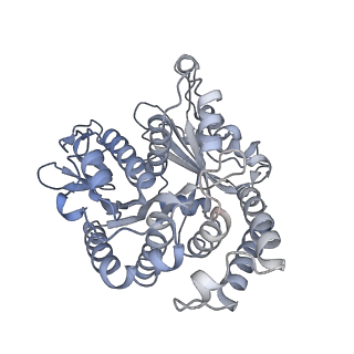 40220_8glv_2M_v1-2
96-nm repeat unit of doublet microtubules from Chlamydomonas reinhardtii flagella
