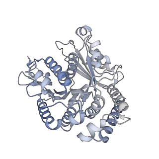 40220_8glv_2N_v1-2
96-nm repeat unit of doublet microtubules from Chlamydomonas reinhardtii flagella