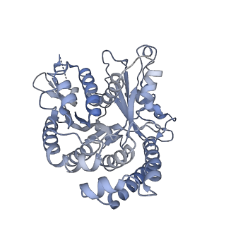 40220_8glv_2P_v1-2
96-nm repeat unit of doublet microtubules from Chlamydomonas reinhardtii flagella