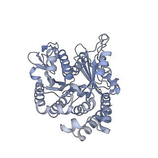 40220_8glv_2Q_v1-2
96-nm repeat unit of doublet microtubules from Chlamydomonas reinhardtii flagella