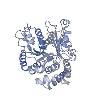 40220_8glv_2R_v1-2
96-nm repeat unit of doublet microtubules from Chlamydomonas reinhardtii flagella