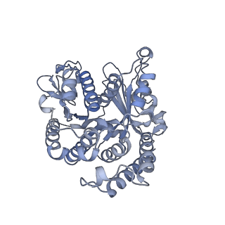 40220_8glv_2S_v1-2
96-nm repeat unit of doublet microtubules from Chlamydomonas reinhardtii flagella