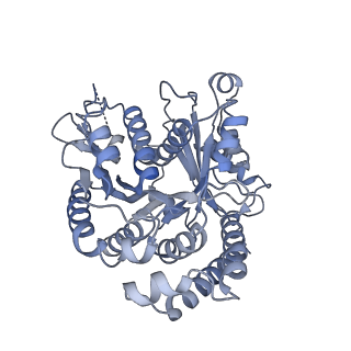 40220_8glv_2T_v1-2
96-nm repeat unit of doublet microtubules from Chlamydomonas reinhardtii flagella
