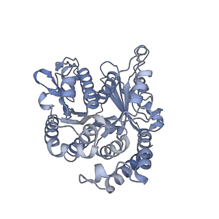 40220_8glv_2U_v1-2
96-nm repeat unit of doublet microtubules from Chlamydomonas reinhardtii flagella