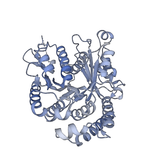 40220_8glv_2V_v1-2
96-nm repeat unit of doublet microtubules from Chlamydomonas reinhardtii flagella