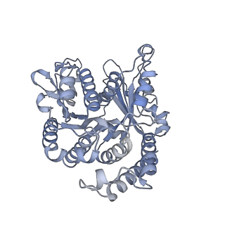 40220_8glv_2W_v1-2
96-nm repeat unit of doublet microtubules from Chlamydomonas reinhardtii flagella