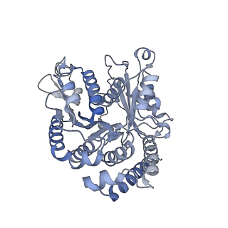 40220_8glv_2X_v1-2
96-nm repeat unit of doublet microtubules from Chlamydomonas reinhardtii flagella