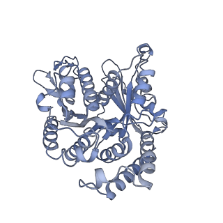 40220_8glv_2Y_v1-2
96-nm repeat unit of doublet microtubules from Chlamydomonas reinhardtii flagella