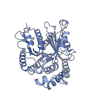 40220_8glv_2Z_v1-2
96-nm repeat unit of doublet microtubules from Chlamydomonas reinhardtii flagella