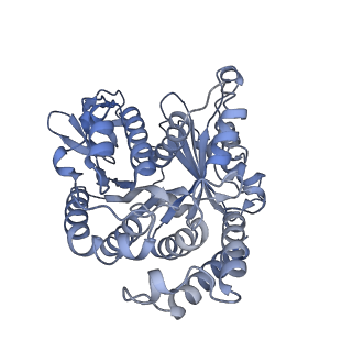40220_8glv_3A_v1-2
96-nm repeat unit of doublet microtubules from Chlamydomonas reinhardtii flagella