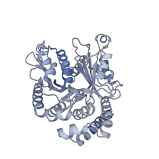 40220_8glv_3B_v1-2
96-nm repeat unit of doublet microtubules from Chlamydomonas reinhardtii flagella