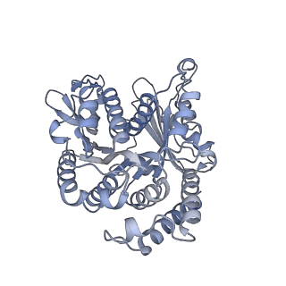 40220_8glv_3C_v1-2
96-nm repeat unit of doublet microtubules from Chlamydomonas reinhardtii flagella