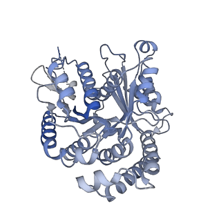 40220_8glv_3D_v1-2
96-nm repeat unit of doublet microtubules from Chlamydomonas reinhardtii flagella