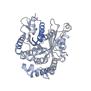 40220_8glv_3F_v1-2
96-nm repeat unit of doublet microtubules from Chlamydomonas reinhardtii flagella