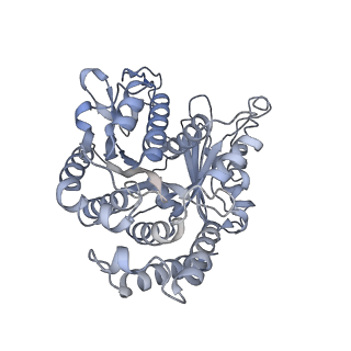 40220_8glv_3G_v1-2
96-nm repeat unit of doublet microtubules from Chlamydomonas reinhardtii flagella
