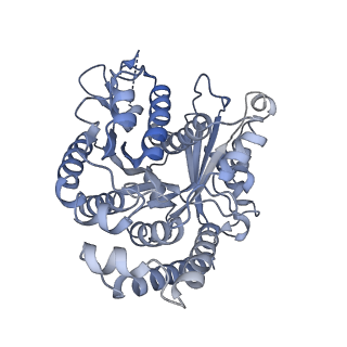 40220_8glv_3H_v1-2
96-nm repeat unit of doublet microtubules from Chlamydomonas reinhardtii flagella
