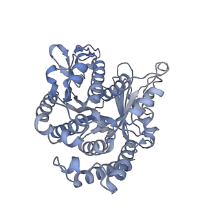 40220_8glv_3I_v1-2
96-nm repeat unit of doublet microtubules from Chlamydomonas reinhardtii flagella