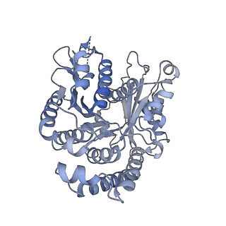 40220_8glv_3J_v1-2
96-nm repeat unit of doublet microtubules from Chlamydomonas reinhardtii flagella