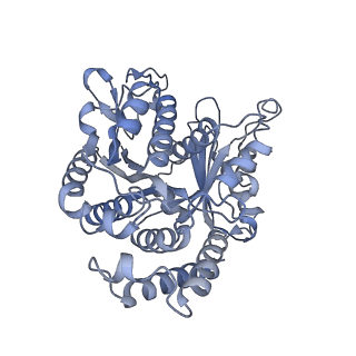 40220_8glv_3K_v1-2
96-nm repeat unit of doublet microtubules from Chlamydomonas reinhardtii flagella