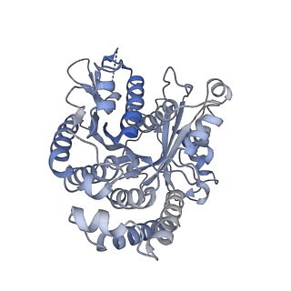 40220_8glv_3L_v1-2
96-nm repeat unit of doublet microtubules from Chlamydomonas reinhardtii flagella