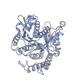 40220_8glv_3M_v1-2
96-nm repeat unit of doublet microtubules from Chlamydomonas reinhardtii flagella