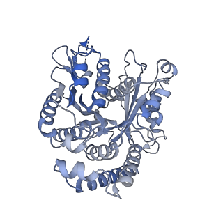 40220_8glv_3N_v1-2
96-nm repeat unit of doublet microtubules from Chlamydomonas reinhardtii flagella