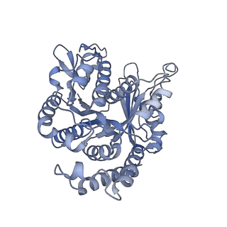 40220_8glv_3O_v1-2
96-nm repeat unit of doublet microtubules from Chlamydomonas reinhardtii flagella