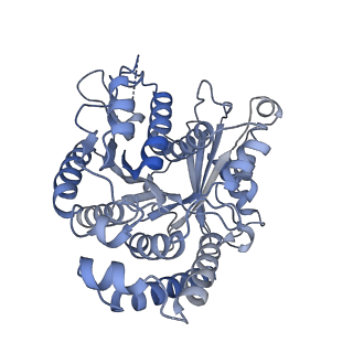 40220_8glv_3P_v1-2
96-nm repeat unit of doublet microtubules from Chlamydomonas reinhardtii flagella