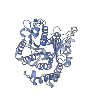 40220_8glv_3Q_v1-2
96-nm repeat unit of doublet microtubules from Chlamydomonas reinhardtii flagella