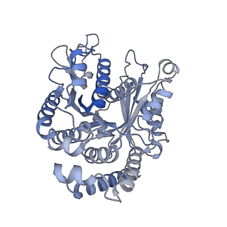 40220_8glv_3R_v1-2
96-nm repeat unit of doublet microtubules from Chlamydomonas reinhardtii flagella