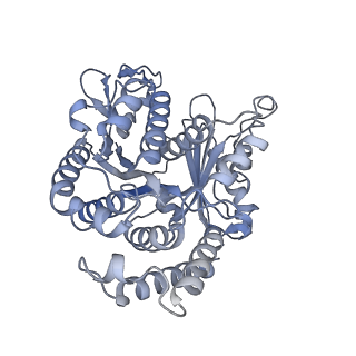 40220_8glv_3S_v1-2
96-nm repeat unit of doublet microtubules from Chlamydomonas reinhardtii flagella