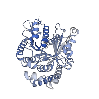 40220_8glv_3T_v1-2
96-nm repeat unit of doublet microtubules from Chlamydomonas reinhardtii flagella