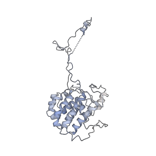 40220_8glv_3V_v1-2
96-nm repeat unit of doublet microtubules from Chlamydomonas reinhardtii flagella
