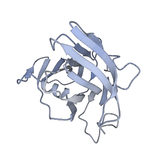 40220_8glv_3W_v1-2
96-nm repeat unit of doublet microtubules from Chlamydomonas reinhardtii flagella