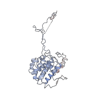 40220_8glv_3X_v1-2
96-nm repeat unit of doublet microtubules from Chlamydomonas reinhardtii flagella